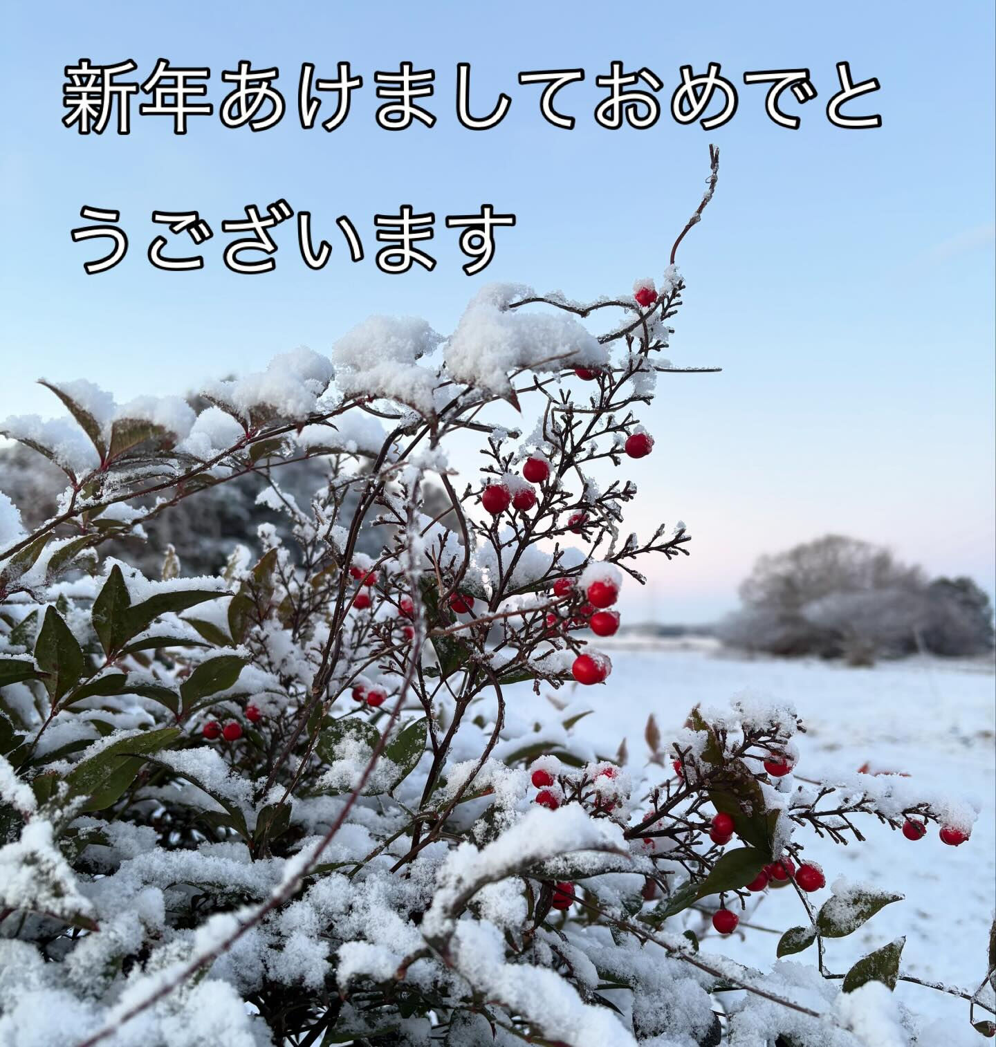 あけましておめでとうございます！